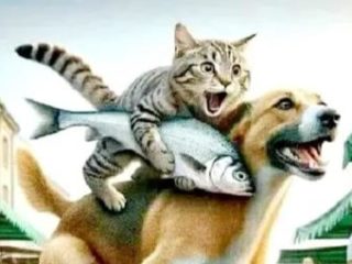 Когда размер сокрытия уменьшать нельзя