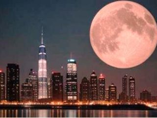 😋 Операции с согласия приставов при крайней необходимости повлекли оправдание