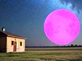 ⚡️В каком порядке снимается арест имущества – в уголовном или гражданском