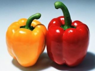 Не подписывал документы, значит соучастник, а не исполнитель