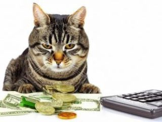 Если в уголовном деле размер неуплаты меньше, чем по налоговой проверке